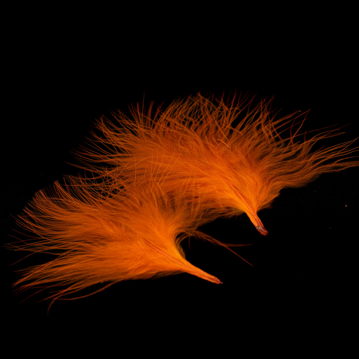Finatics Premium Loose Marabou – 3" to 5" Plumes- Finatics Fly Company