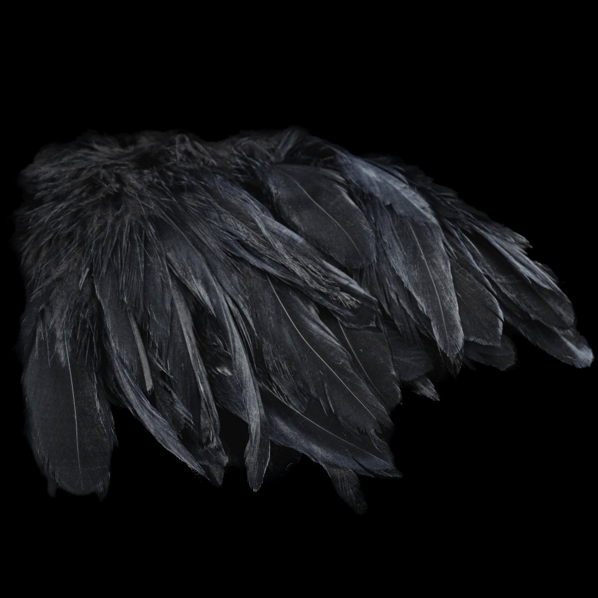 Finatics Premium Schlappen (5.5–7.5”)-Finatics Fly Company