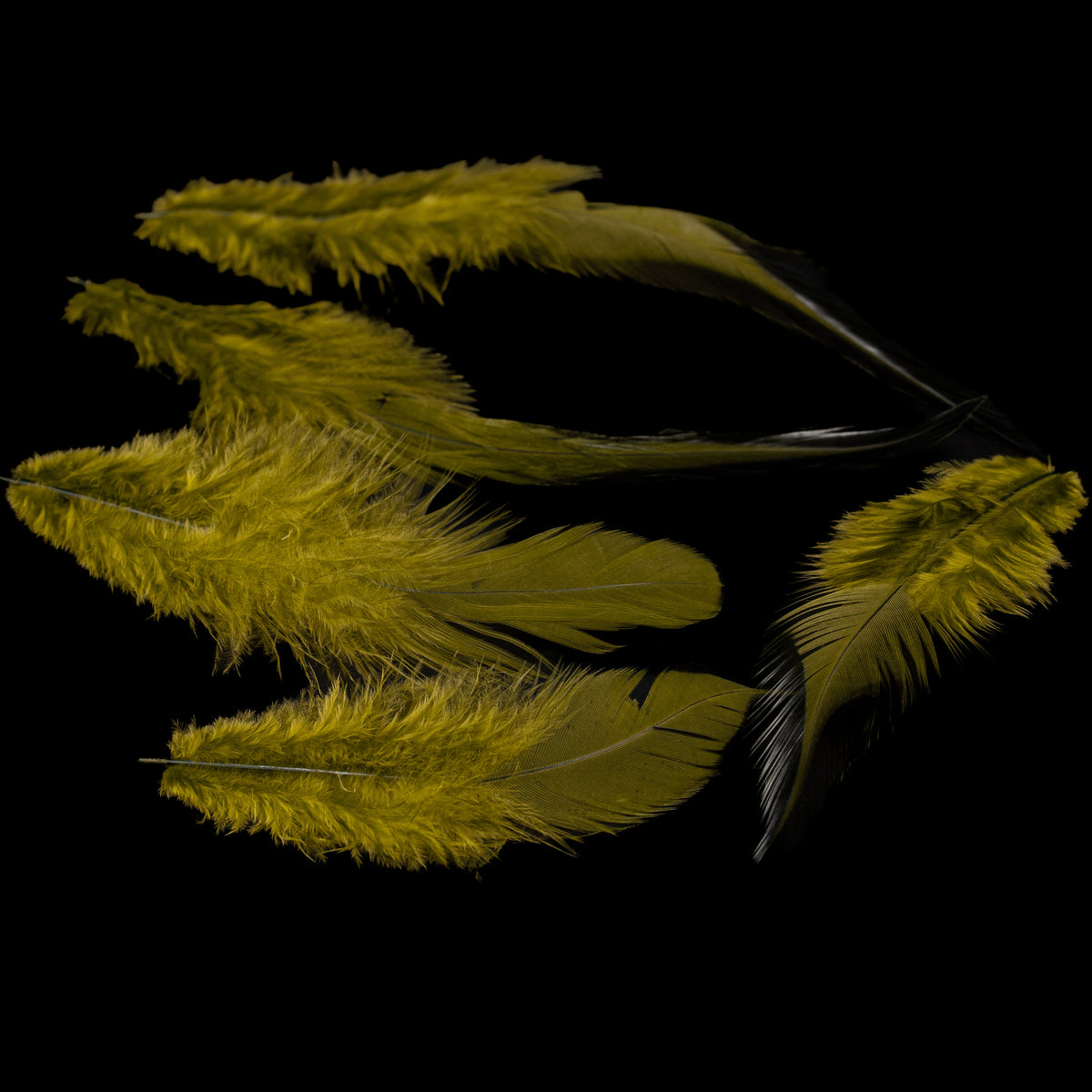 Finatics Loose Saddle – 1/4 oz (3–5”)- Finatics Fly Company