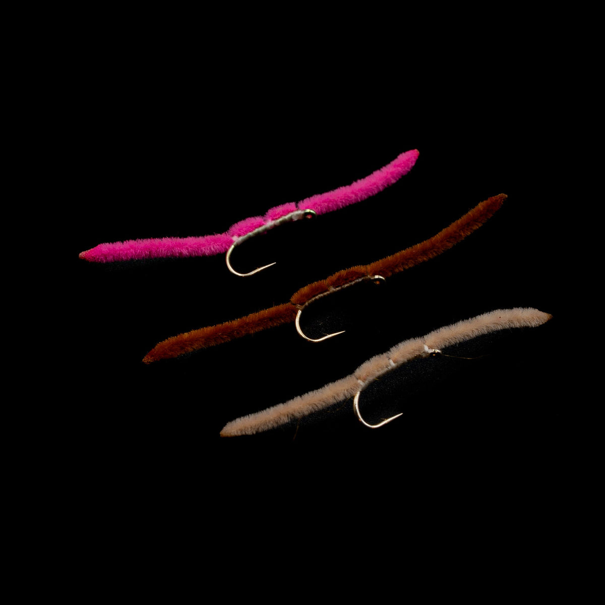 San Juan Worm – FINATICS