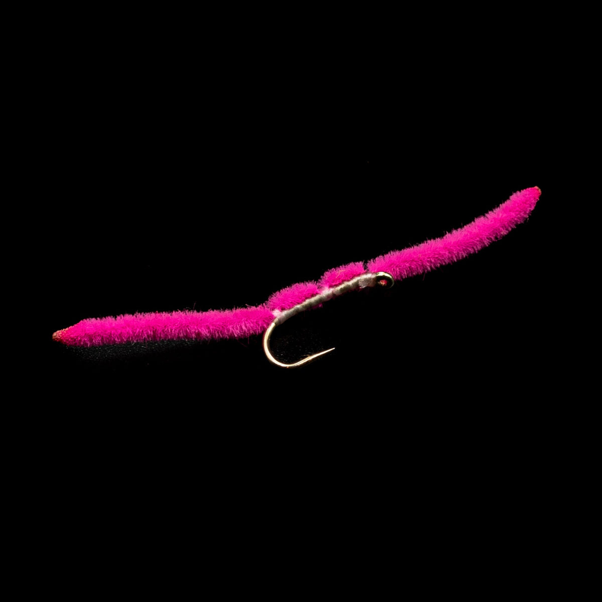 San Juan Worm – FINATICS