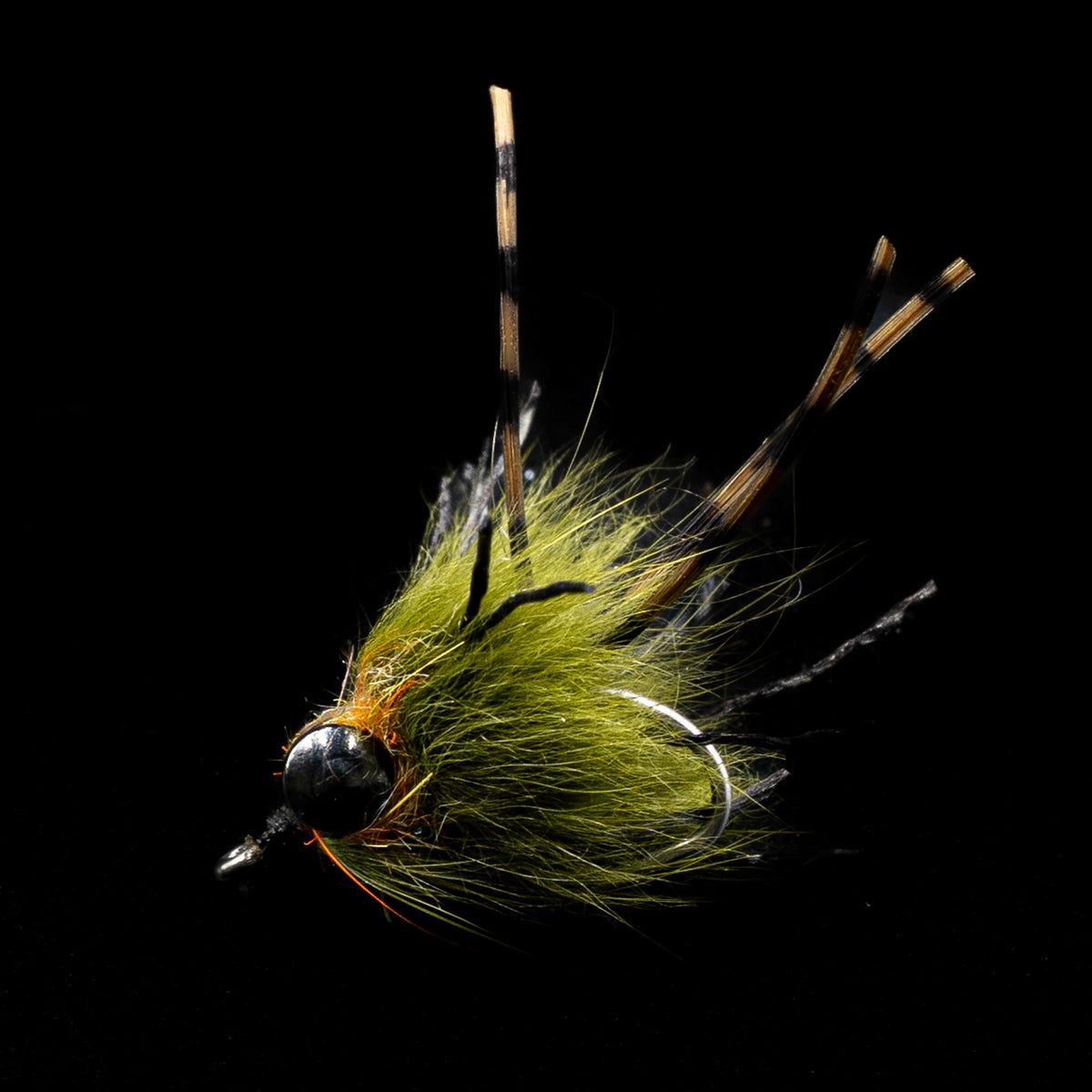 Carp Stew – Carp Fly