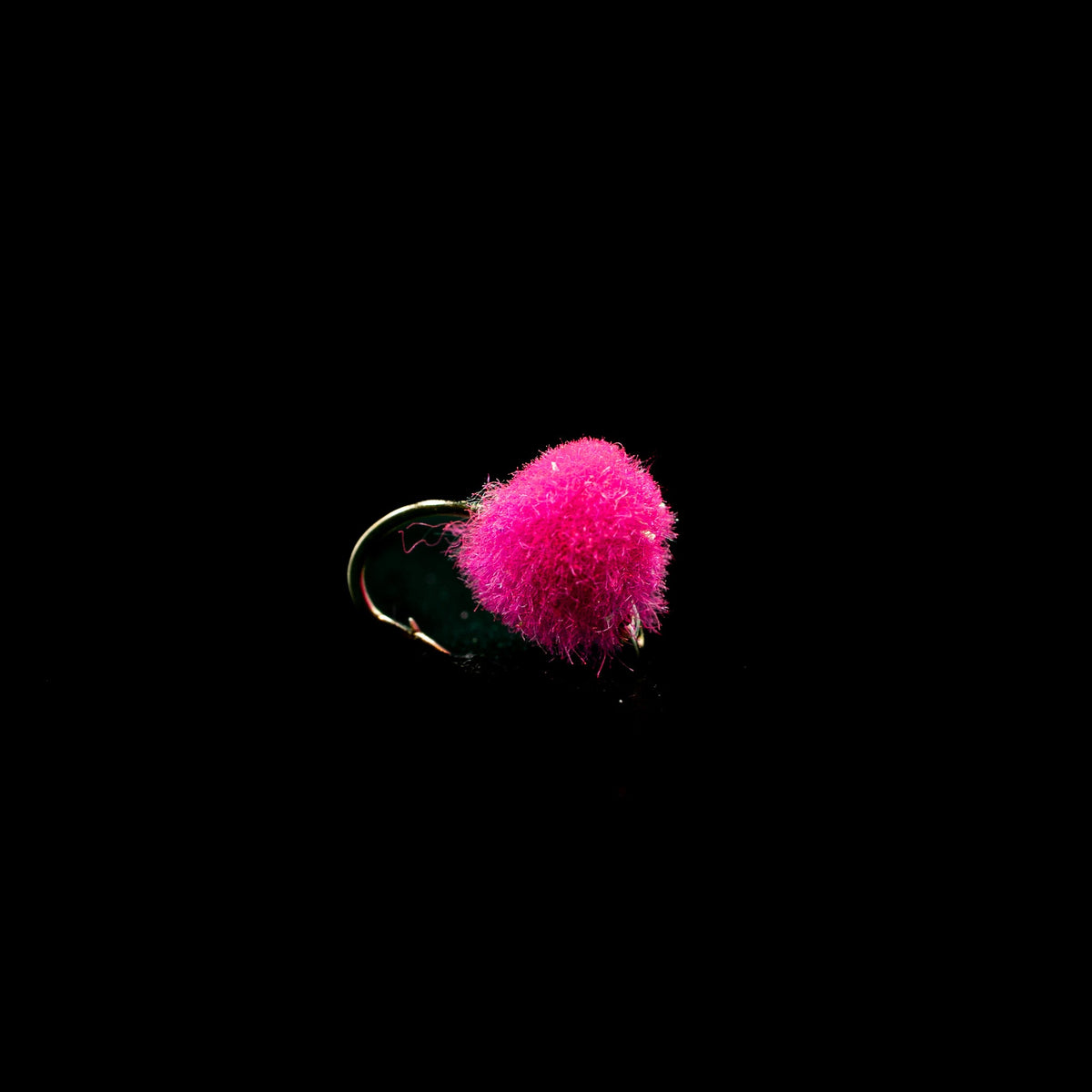 Egg Fly