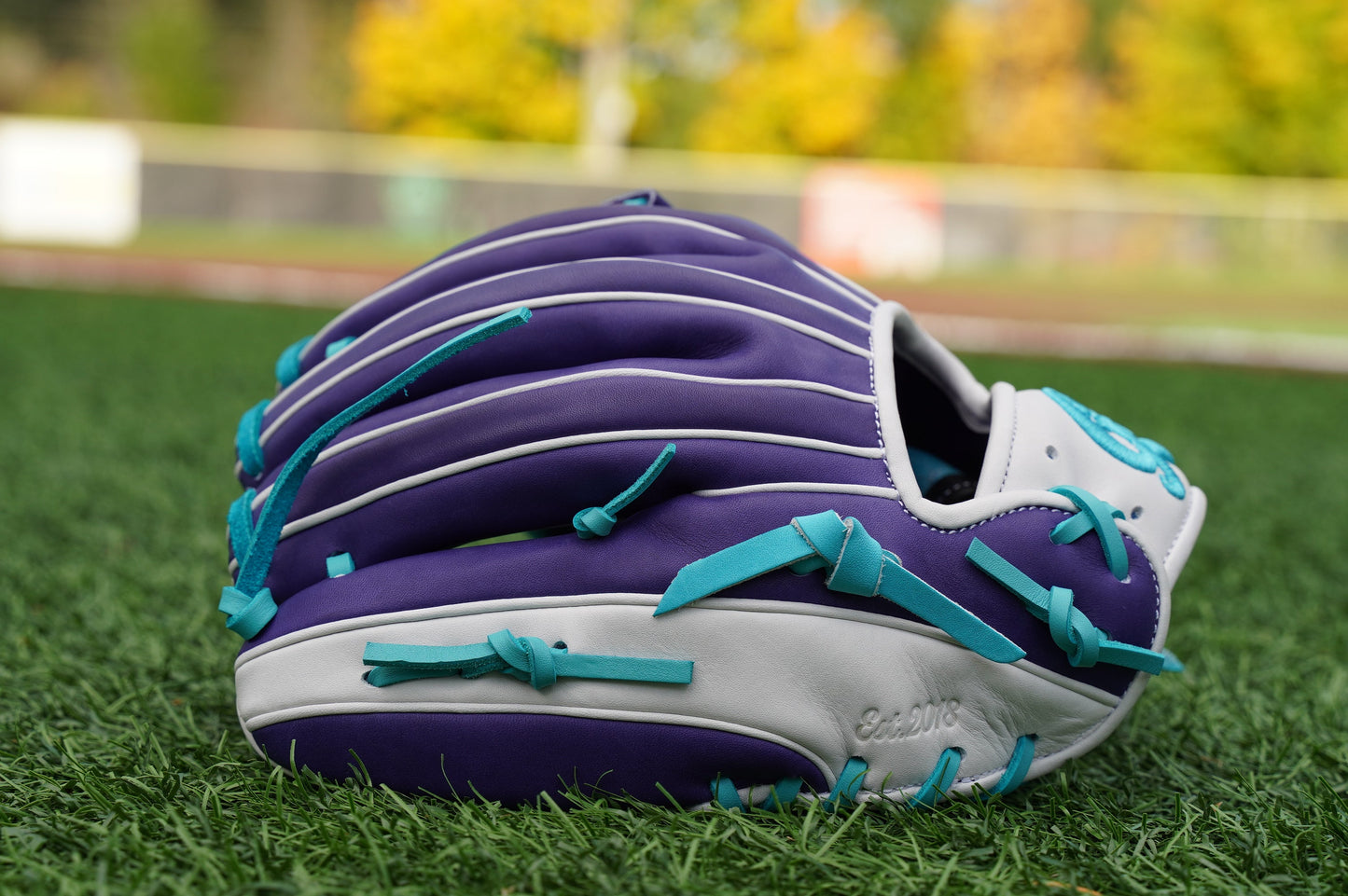 11.50" Infield Limited I-Web Baseball Grace Glove