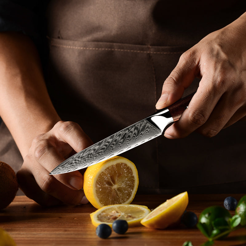 Splendor Knife Set 4 Piece VG10 Damascus Steel with Pakkawood Handle & Sheath