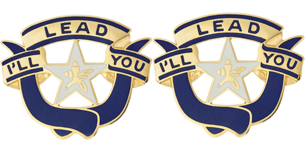 36th Brigade Distinctive Unit Insignia - Pair - I'll Lead You