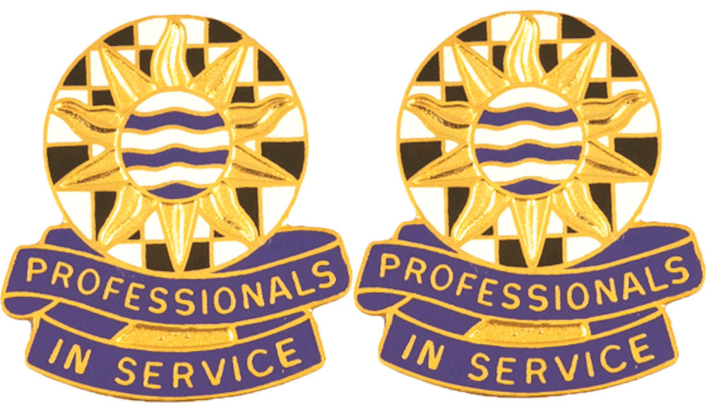 50th S & S Battalion Distinctive Unit Insignia - Pair - Professionals In Service
