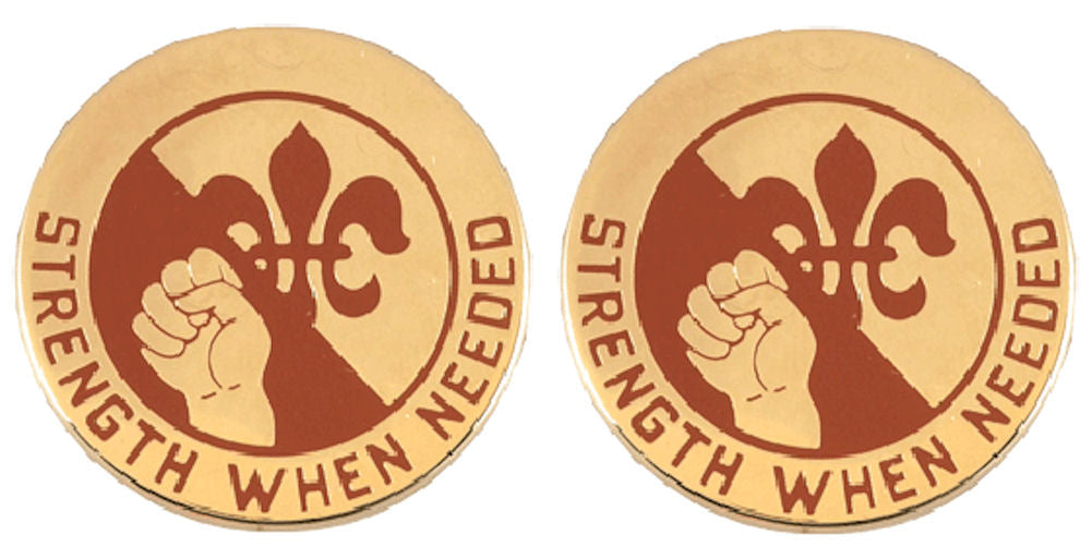 249th GEN HOSPITAL Distinctive Unit Insignia - Pair