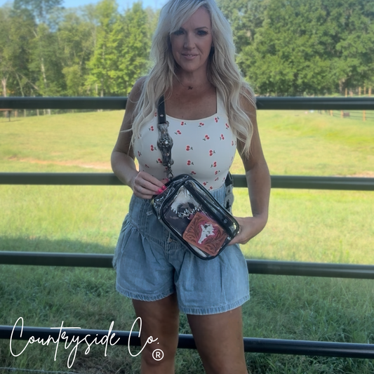 Daytona Clear Sling Festival Stadium Bag