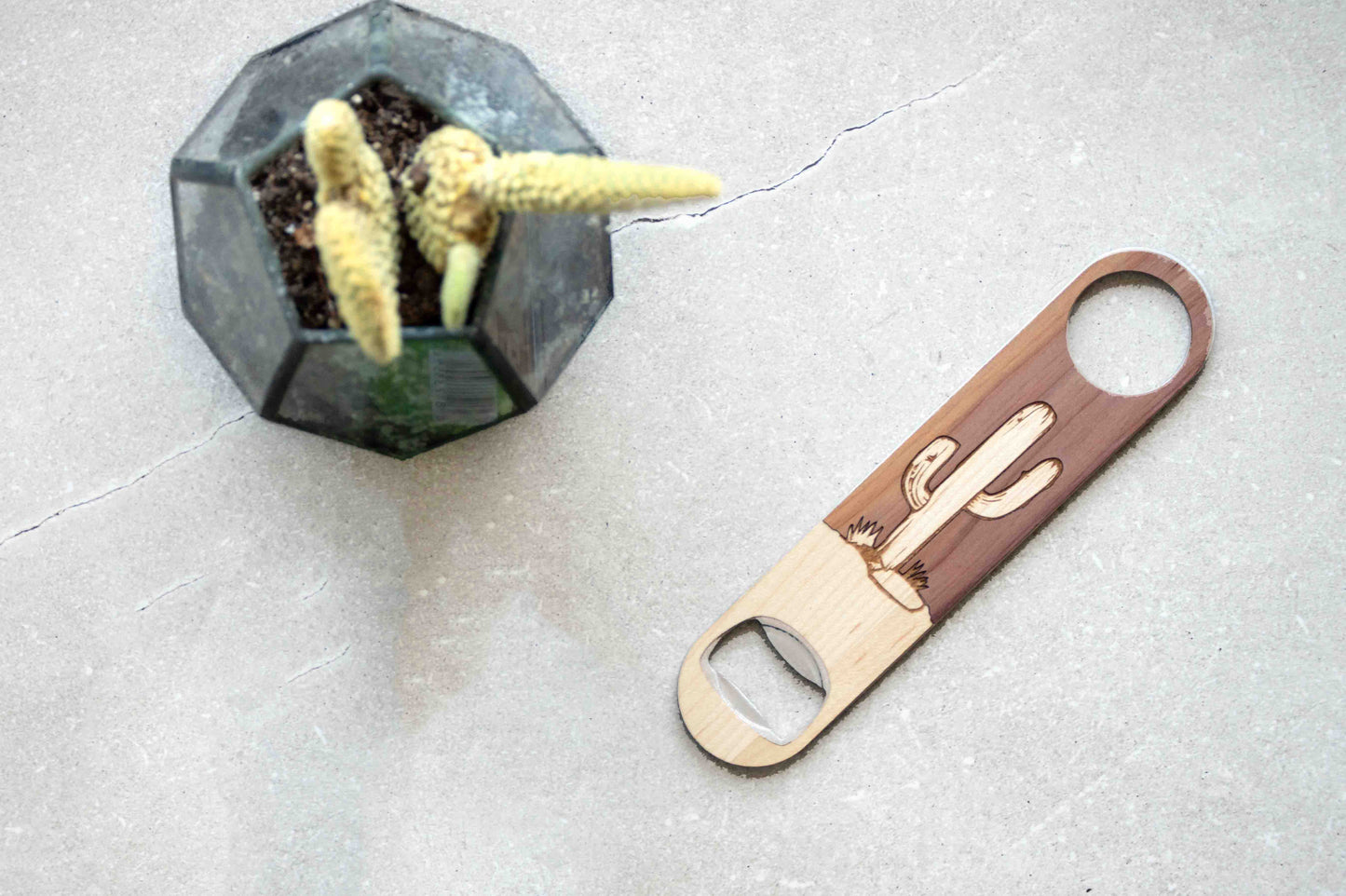 Cactus Bottle Opener