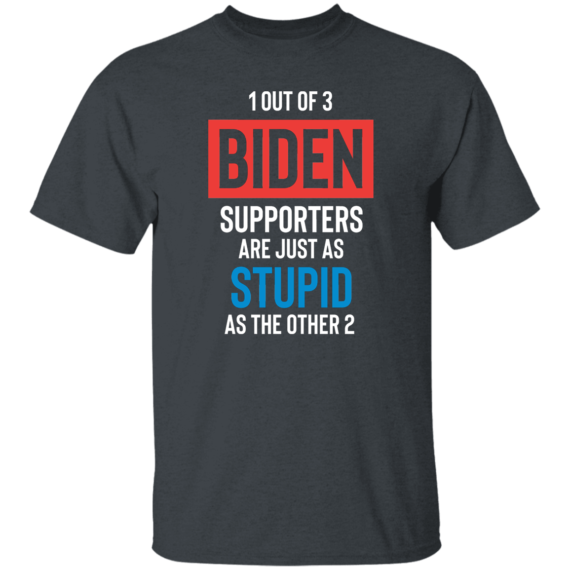 Stupid Biden Supporters