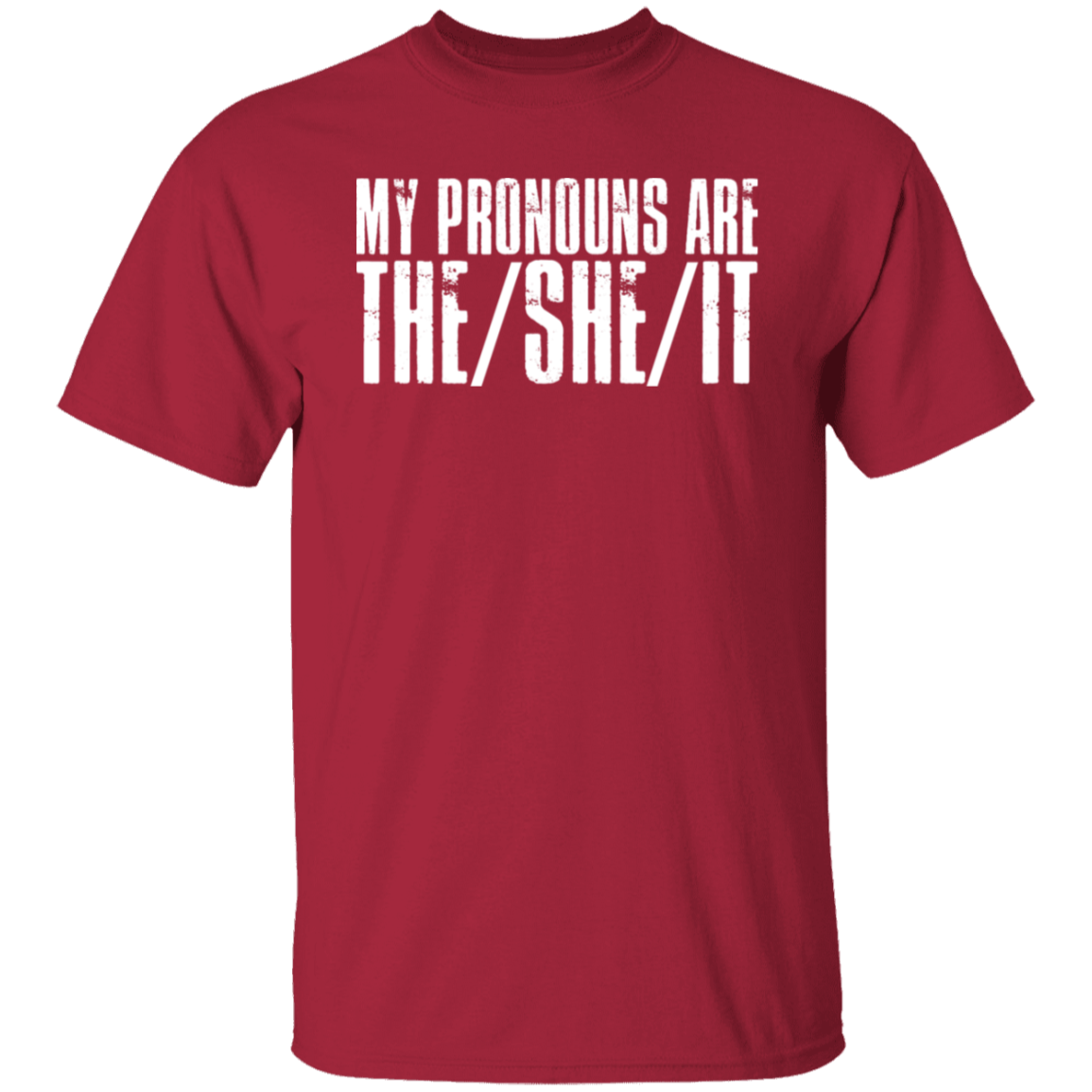 Pronouns Are