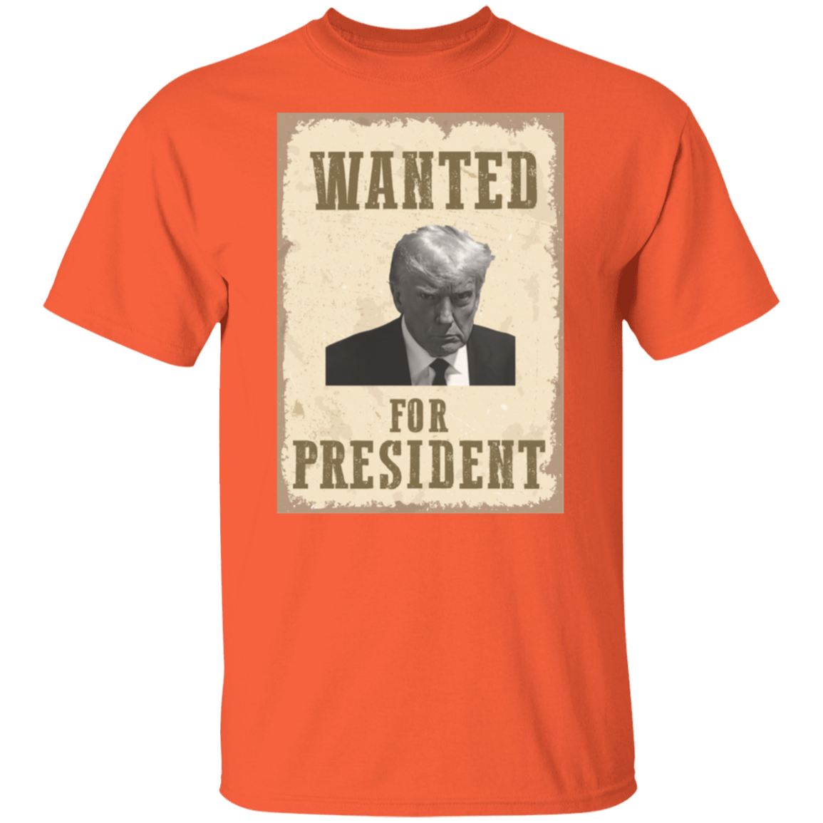 Wanted For President