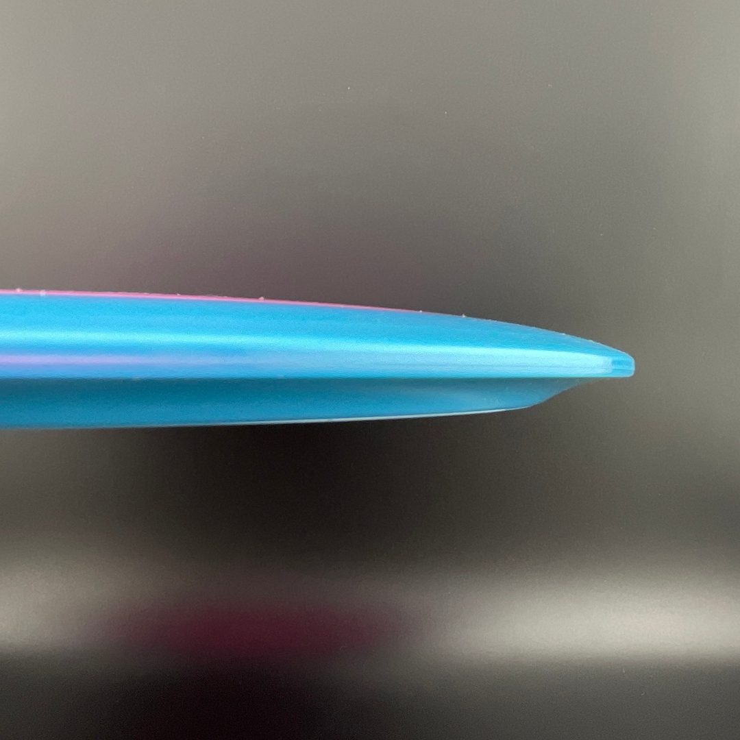 Tournament Orbit Bear