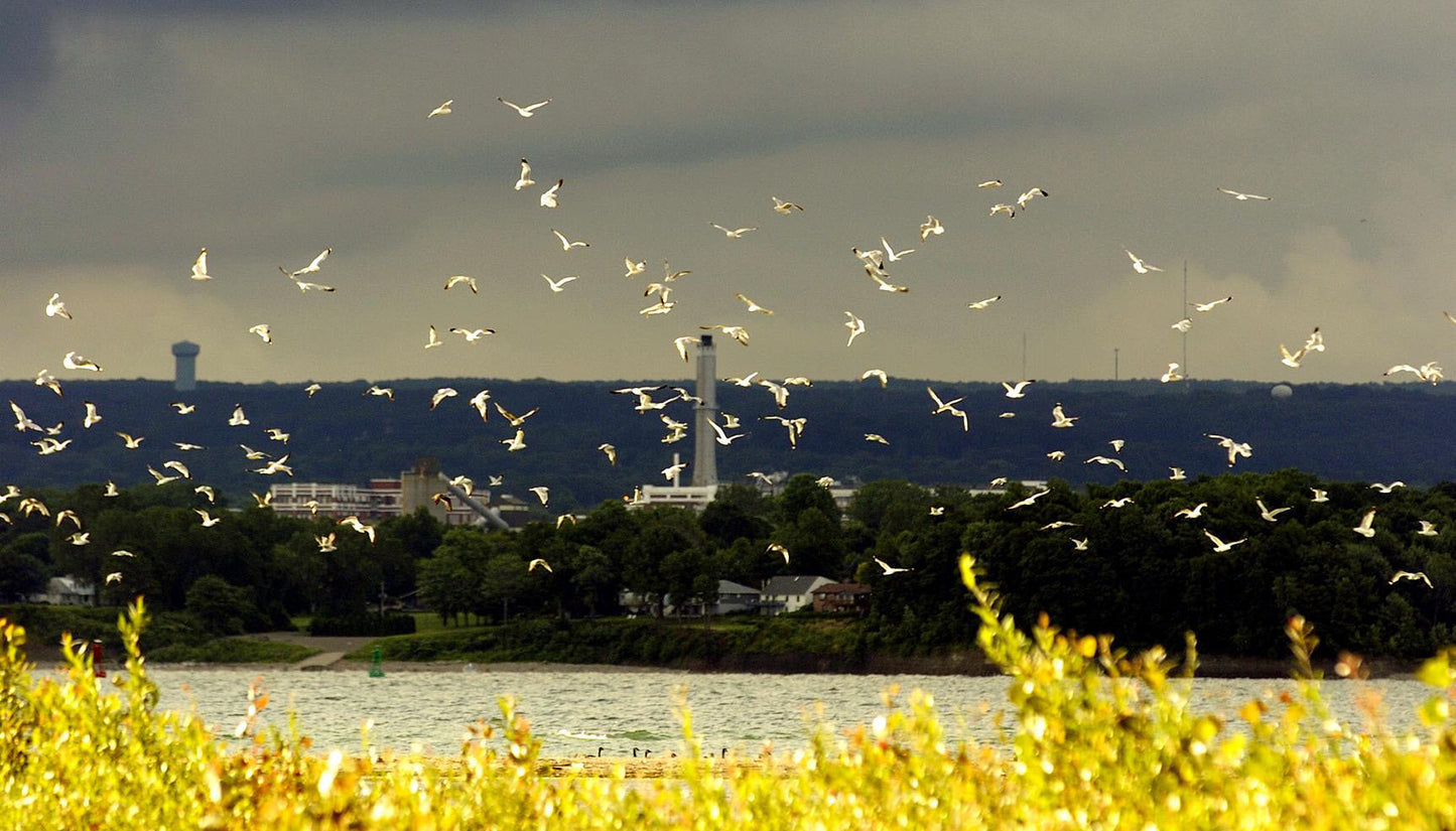 Reflections of: Presque Isle: A Visual Journey
