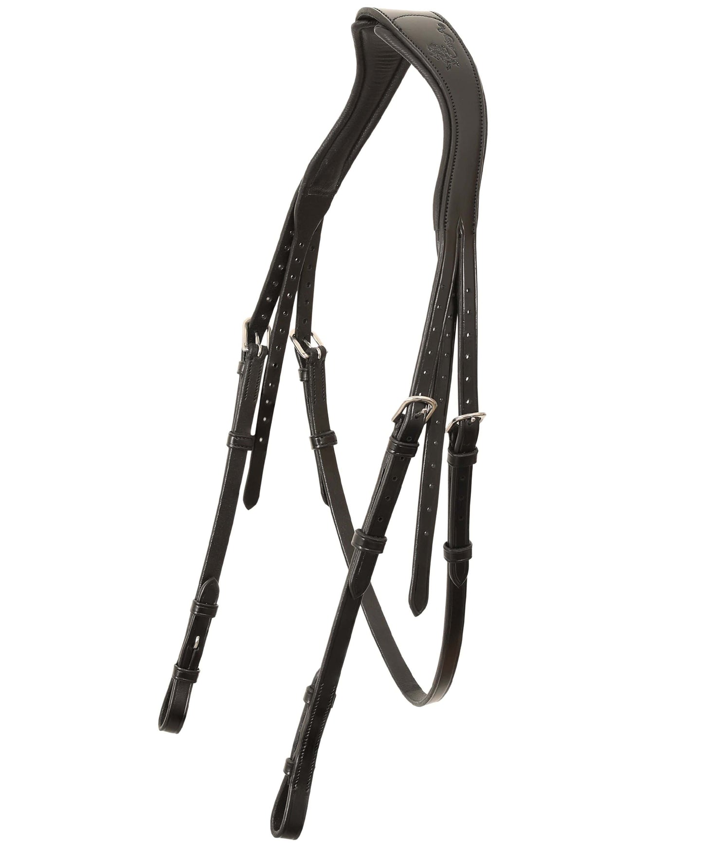 ExionPro 'Leo' Dressage Bridle with Reins