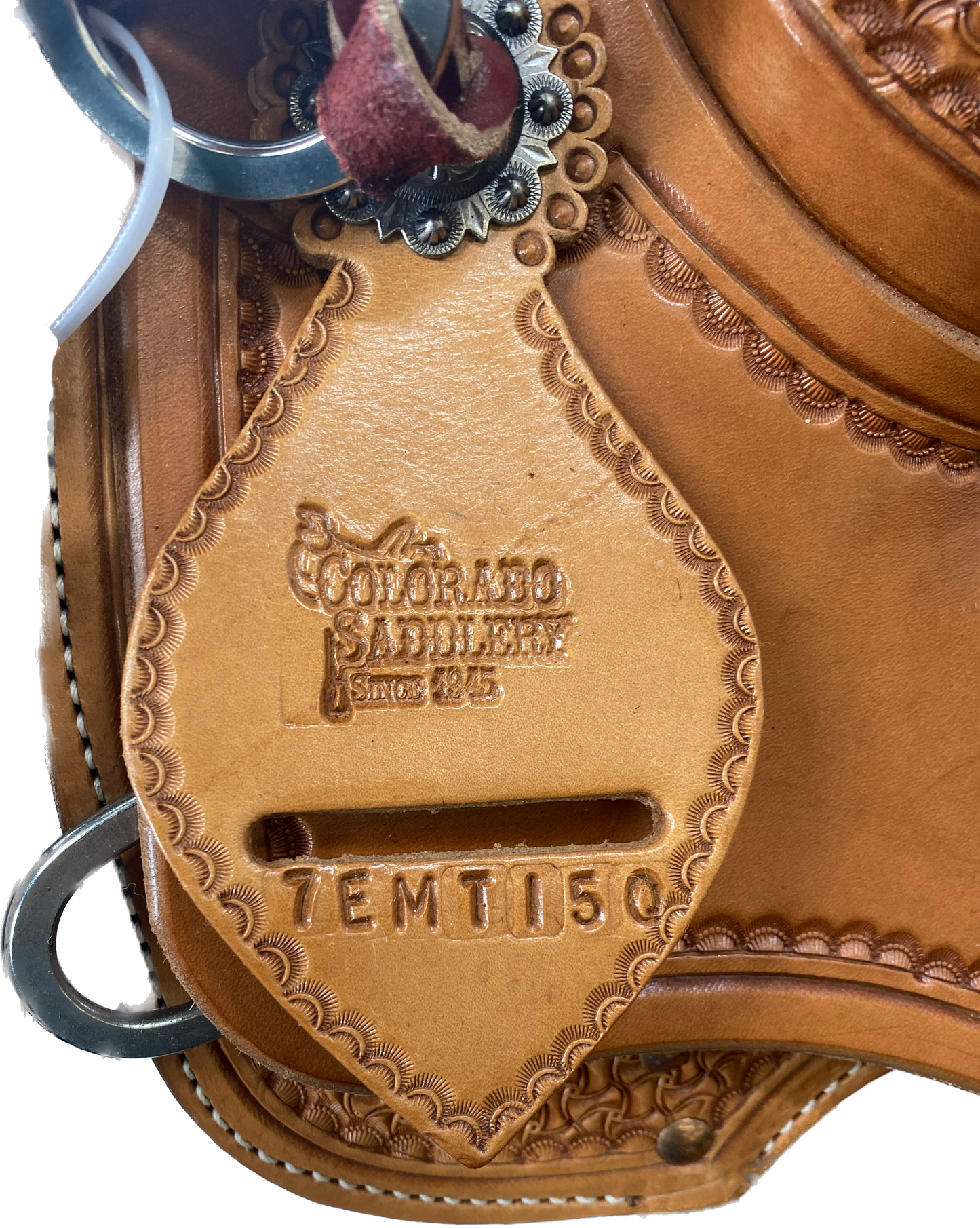 Elk Mountain Trail 15"