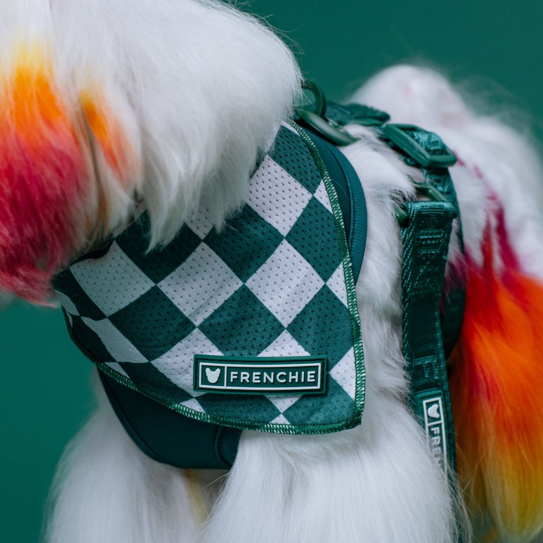 Frenchie Cooling Bandana - Solid Emerald City