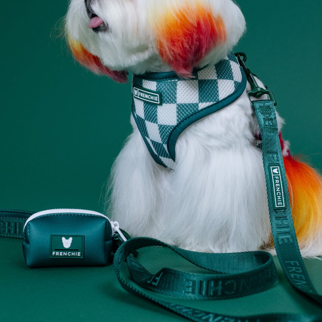 Frenchie Comfort Leash - Solid Emerald City