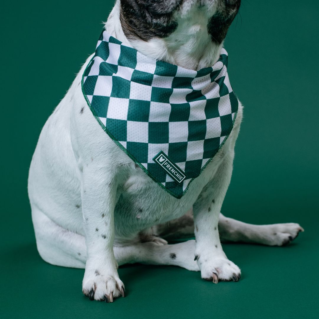 Frenchie Cooling Bandana - Solid Emerald City