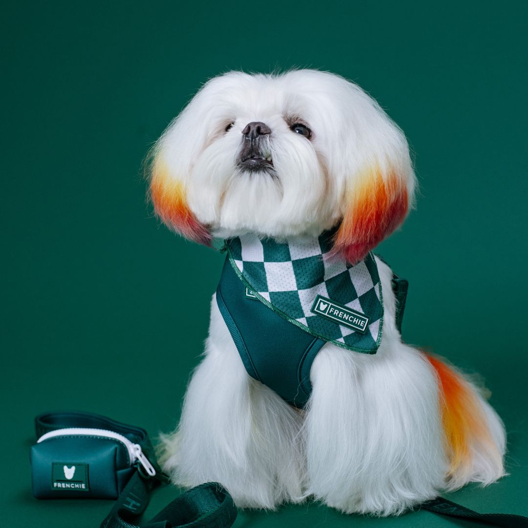 Frenchie Cooling Bandana - Solid Emerald City