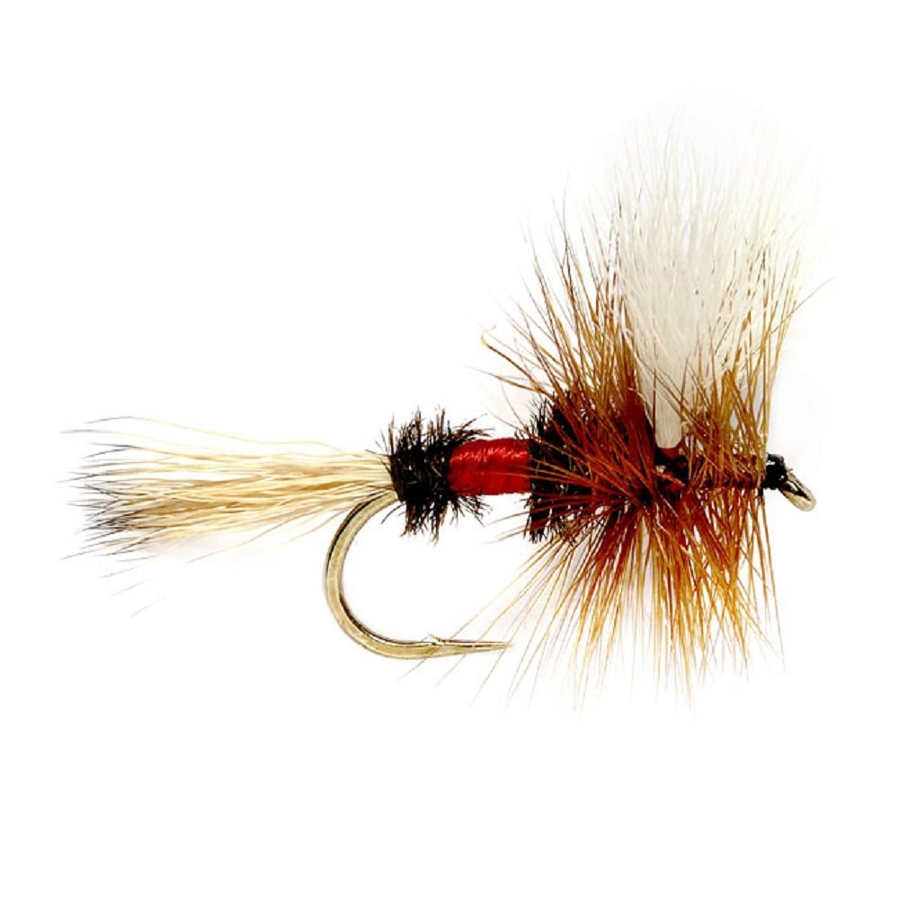 Trout Flies Assortment - 24 Flies for Trout Fly Fishing with Fly Box - Essential Dry and Wet Fly Selection