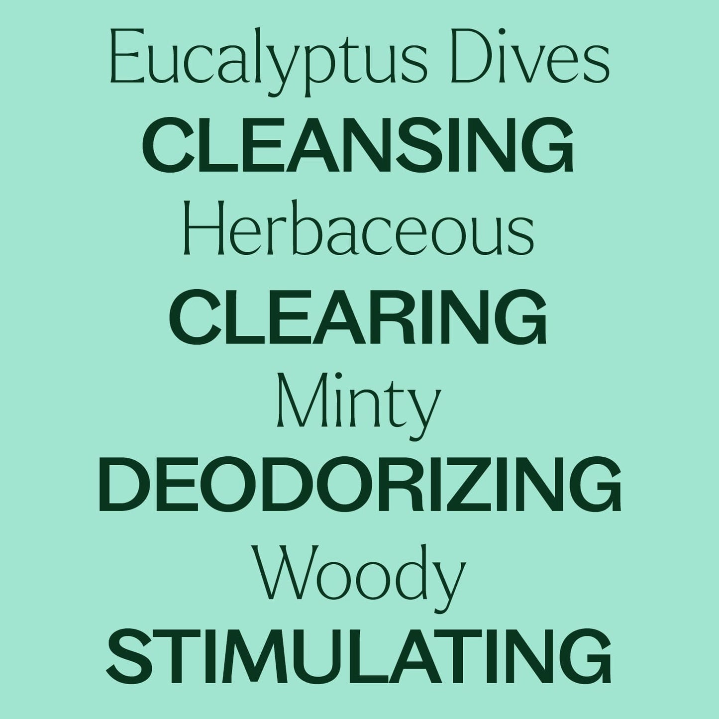 Eucalyptus Dives Essential Oil