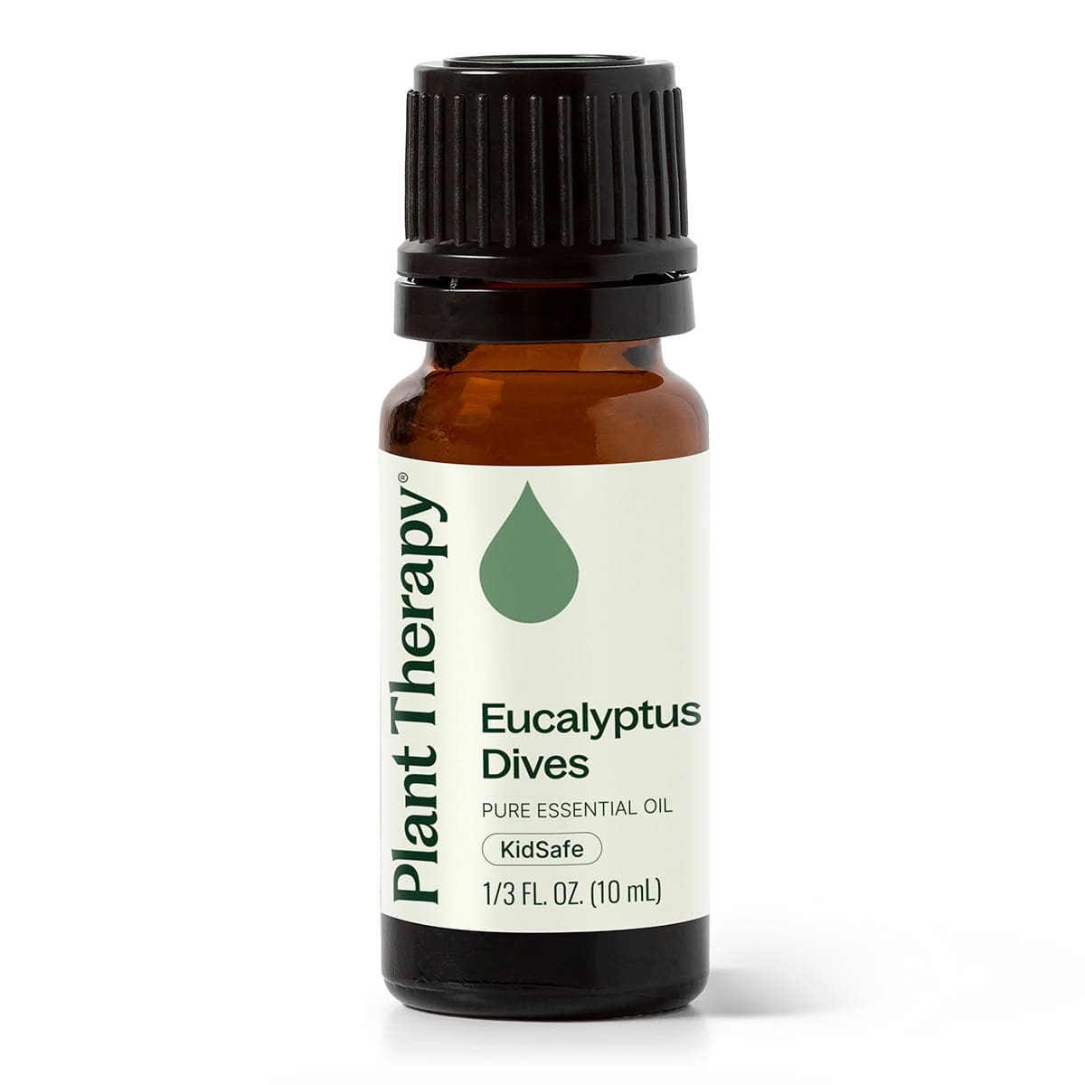 Eucalyptus Dives Essential Oil