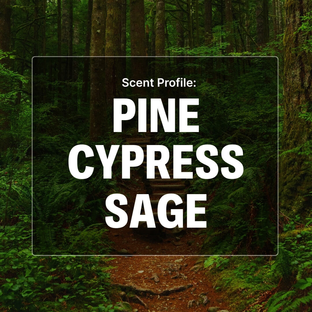 Evergreen Woods Beard Oil - Pine, Cypress, Sage