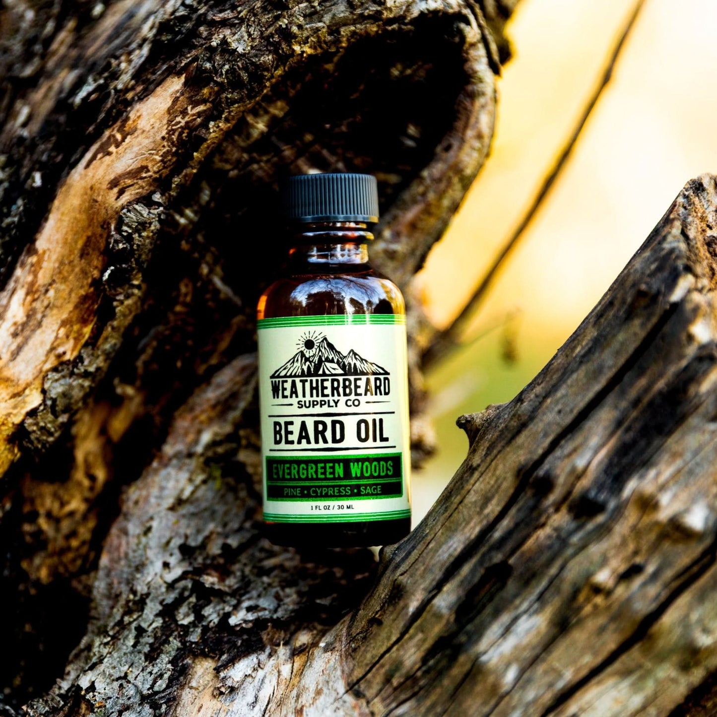 Evergreen Woods Beard Oil - Pine, Cypress, Sage