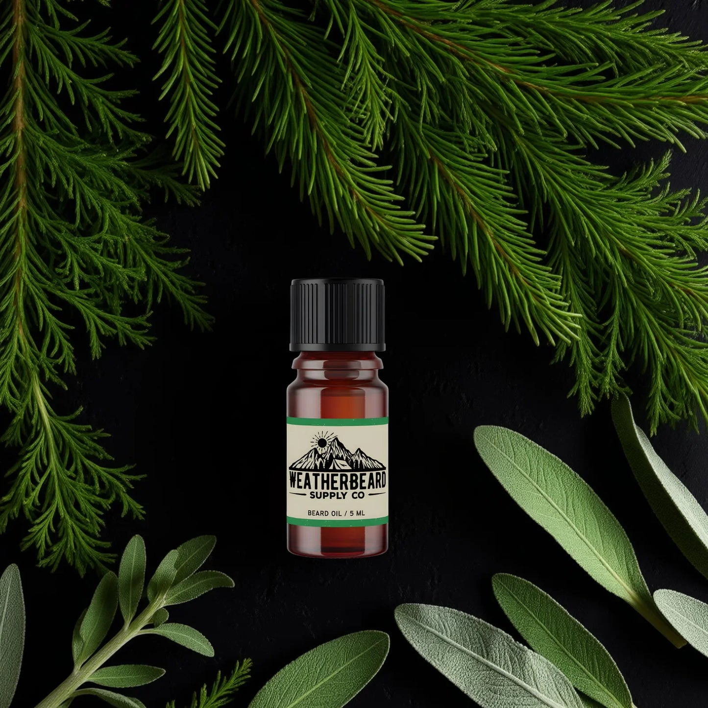 Evergreen Woods Beard Oil - Pine, Cypress, Sage