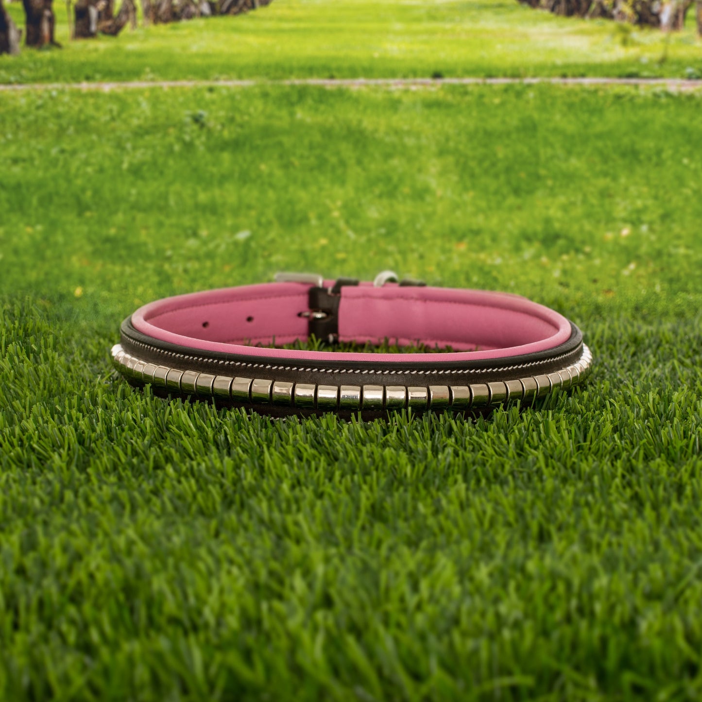 ExionPro Silver Clincher Padded Leather Dog Collar - Pink Padding