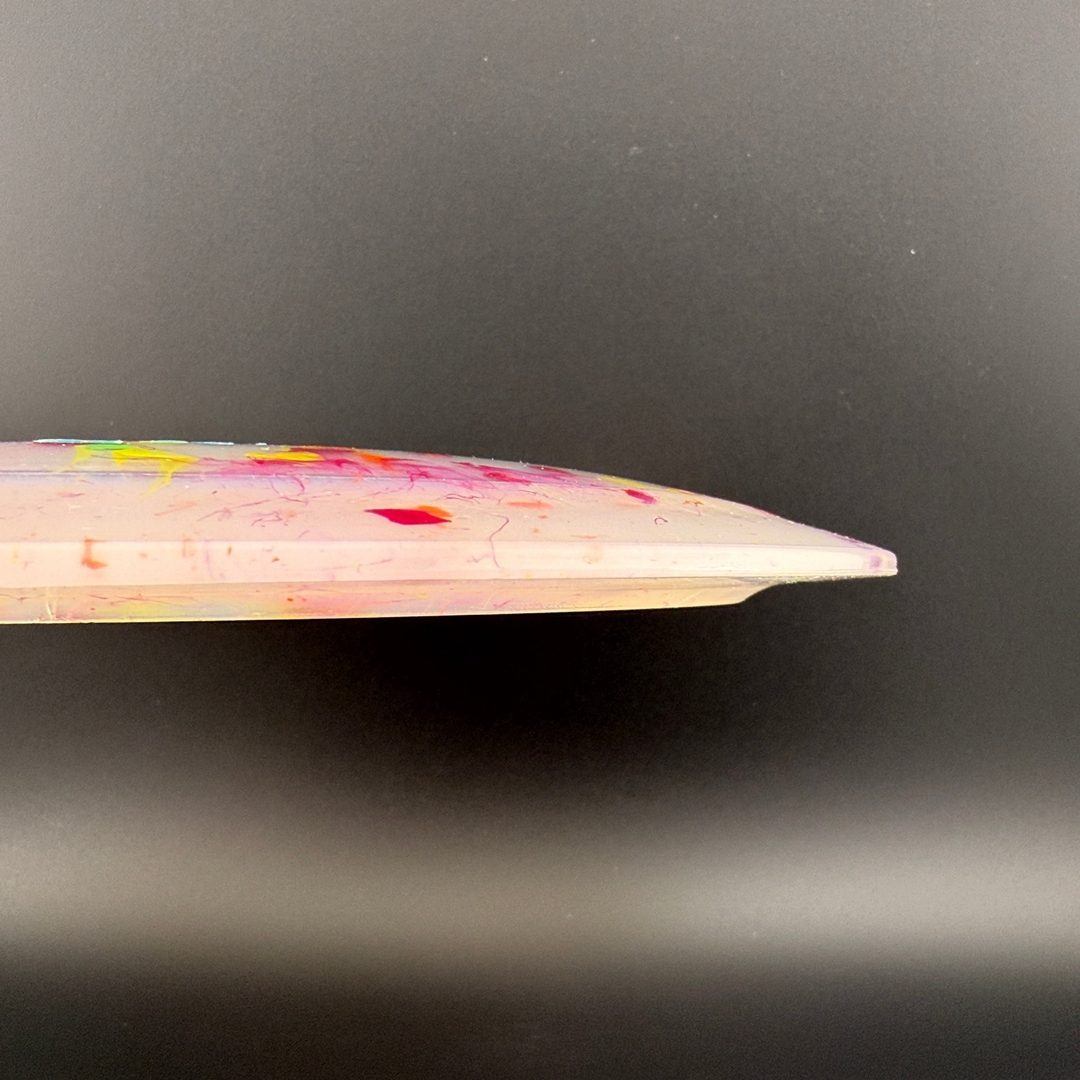 Egg Shell Spinosaurus - Special Edition