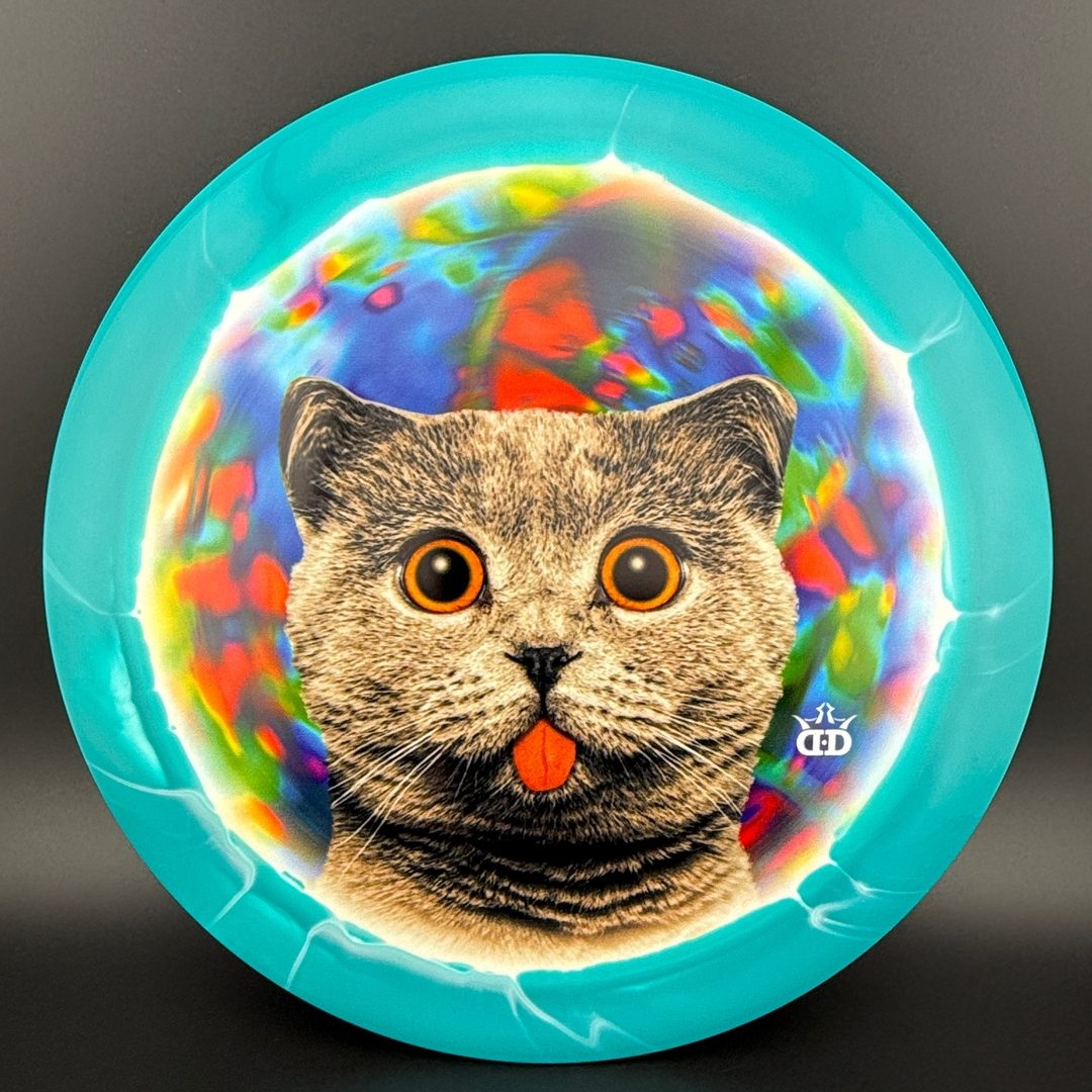 Fuzion Orbit Raider - DyeMax - Space Kitty Trippin