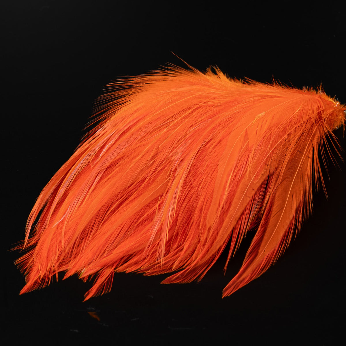 FINATICS Strung Neck Hackle - 4"-4.5"