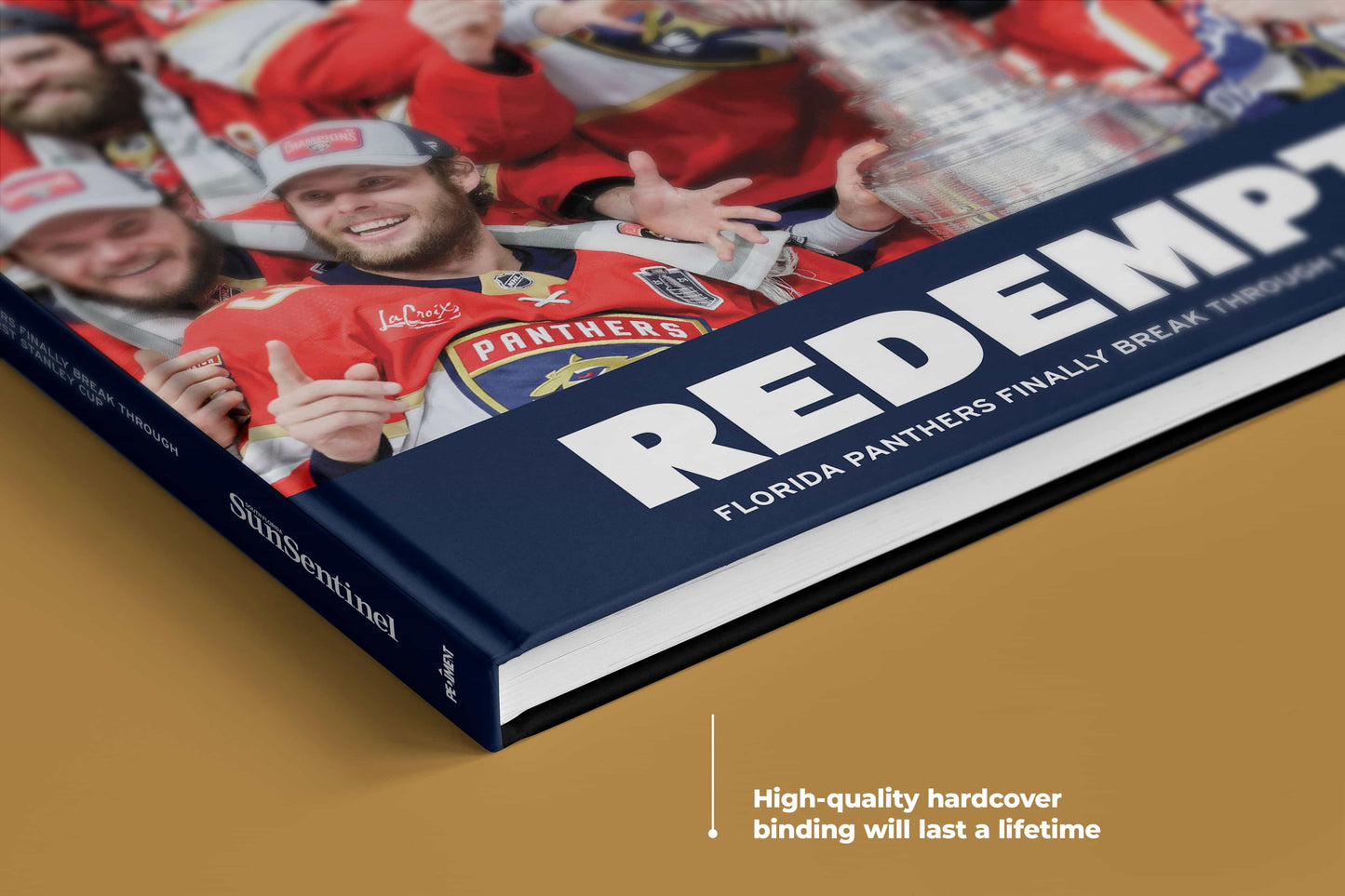 Redemption: Florida Panthers Finally Break Through to Win Their First Stanley Cup