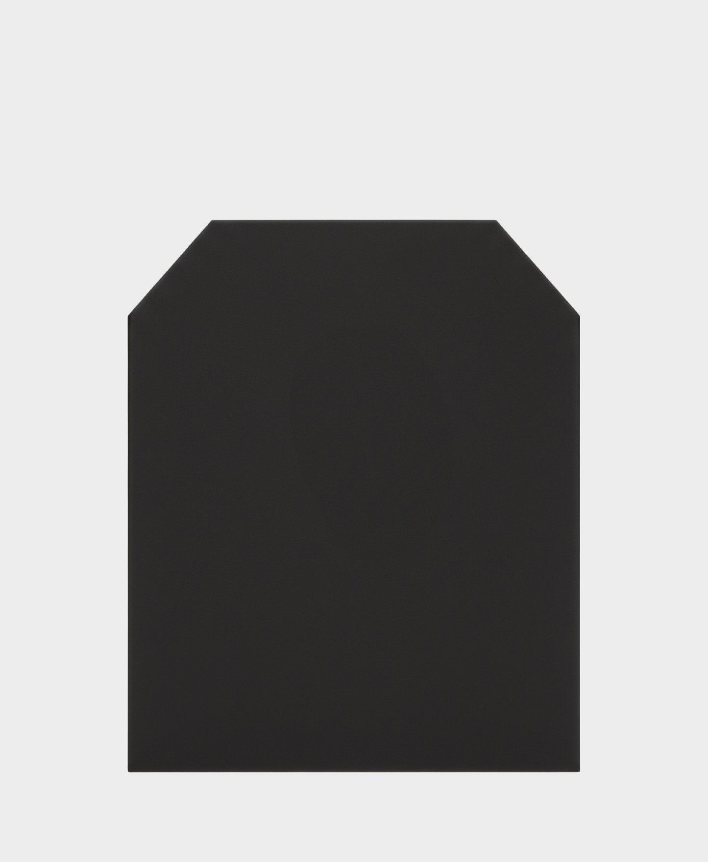 Express Backpack Armor Insert