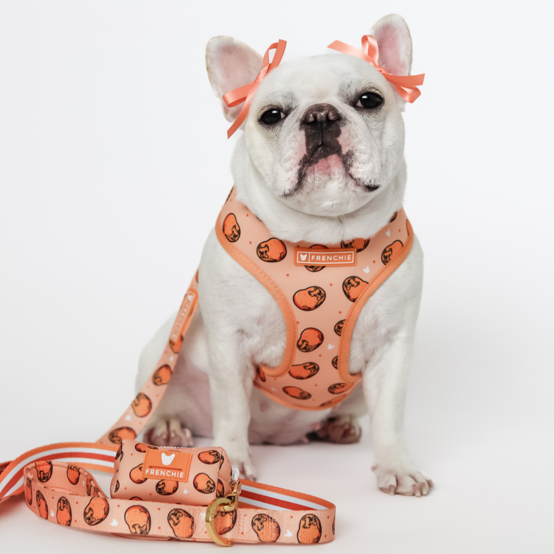 Frenchie Duo Reversible Harness - French Potato