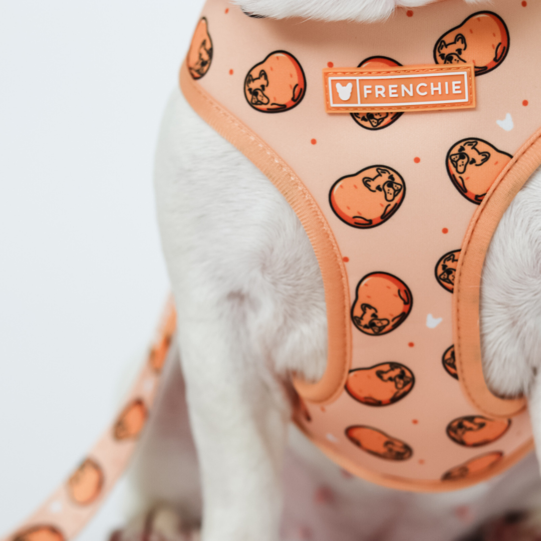 Frenchie Duo Reversible Harness - French Potato