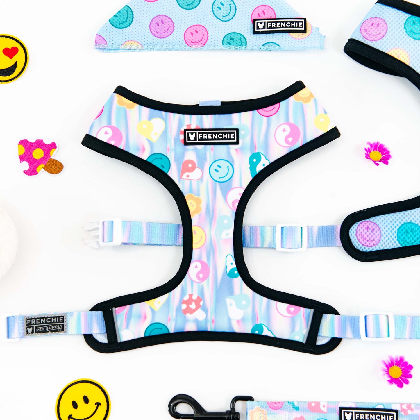 Frenchie Duo Reversible Harness - Good Vibes