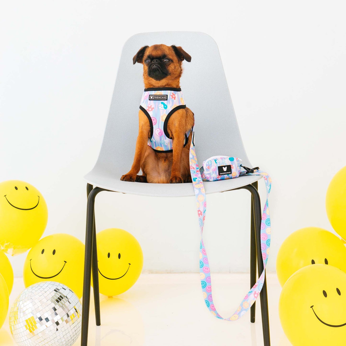 Frenchie Comfort Leash - Good Vibes