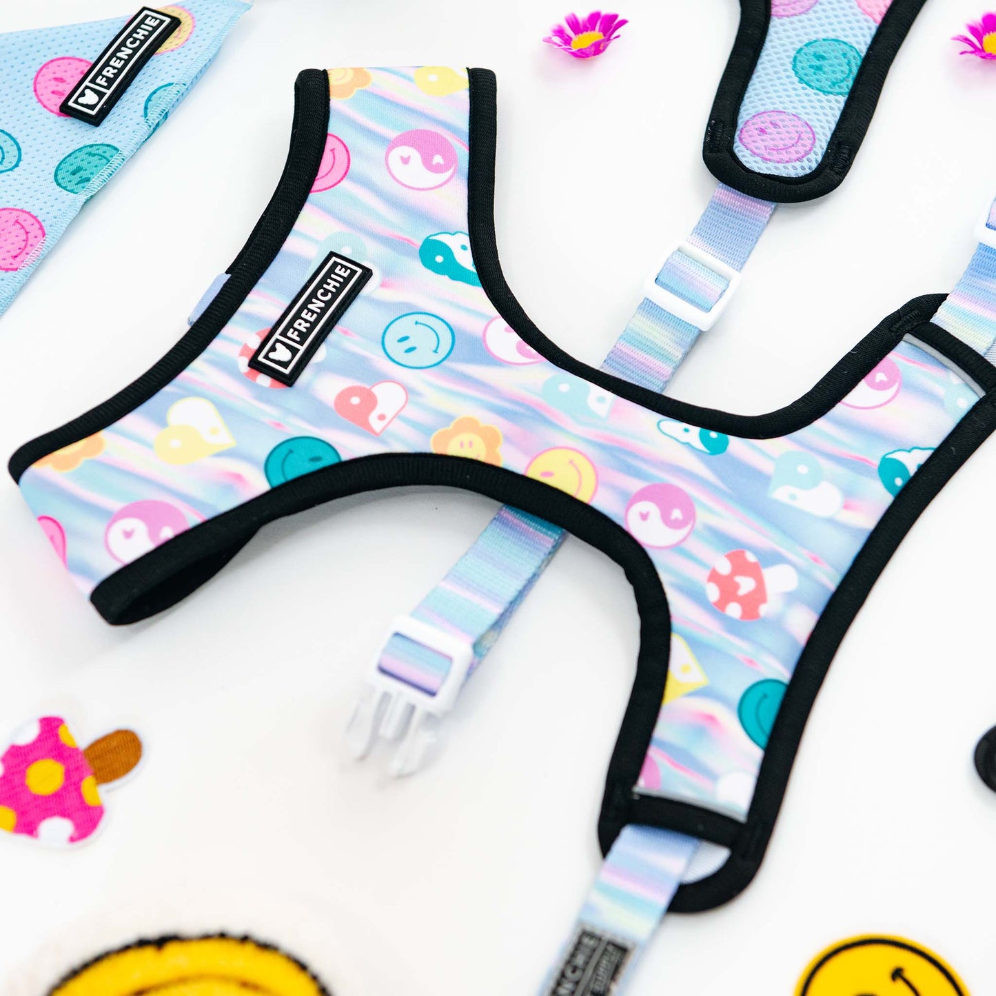 Frenchie Duo Reversible Harness - Good Vibes