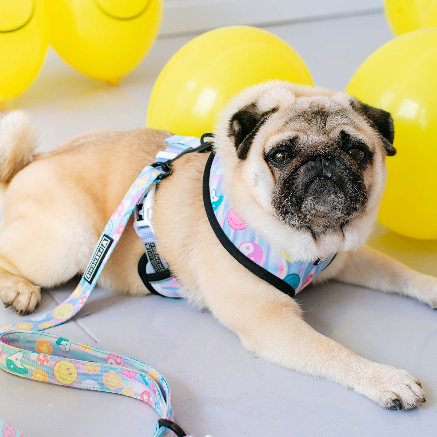 Frenchie Duo Reversible Harness - Good Vibes