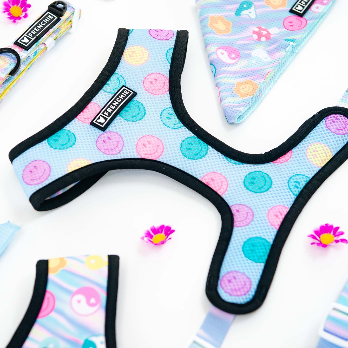 Frenchie Duo Reversible Harness - Good Vibes