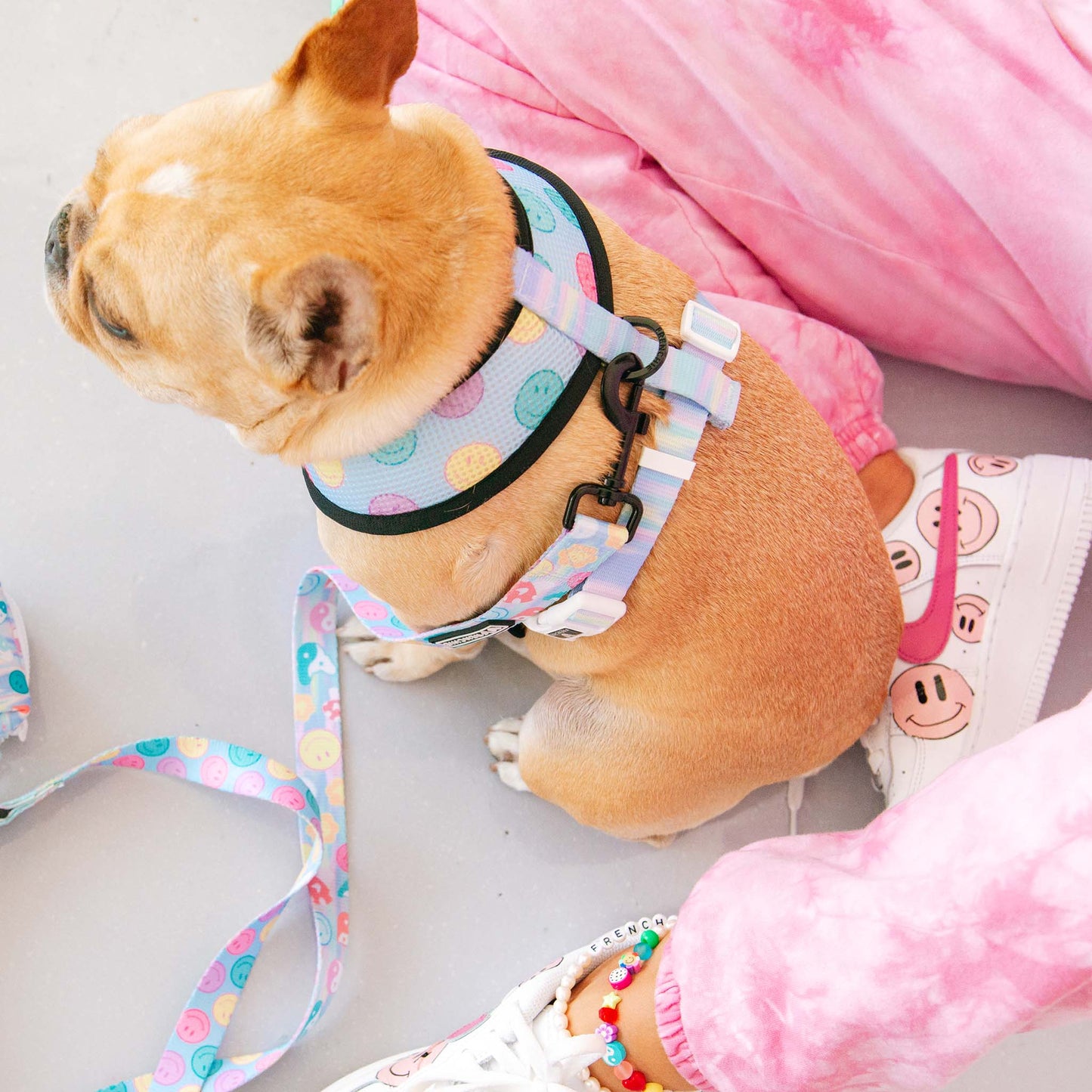 Frenchie Duo Reversible Harness - Good Vibes