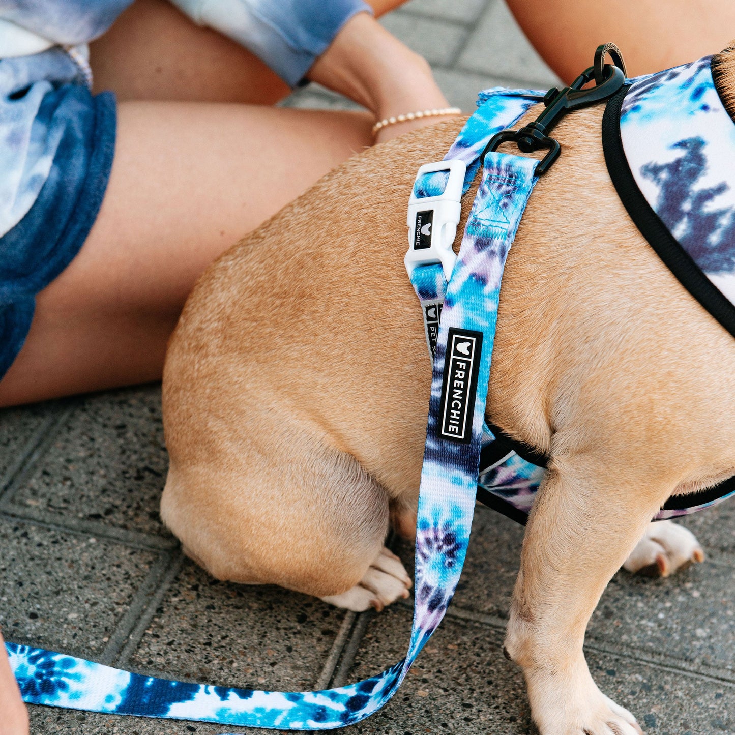 Frenchie Comfort Leash - Trippy Tie Dye