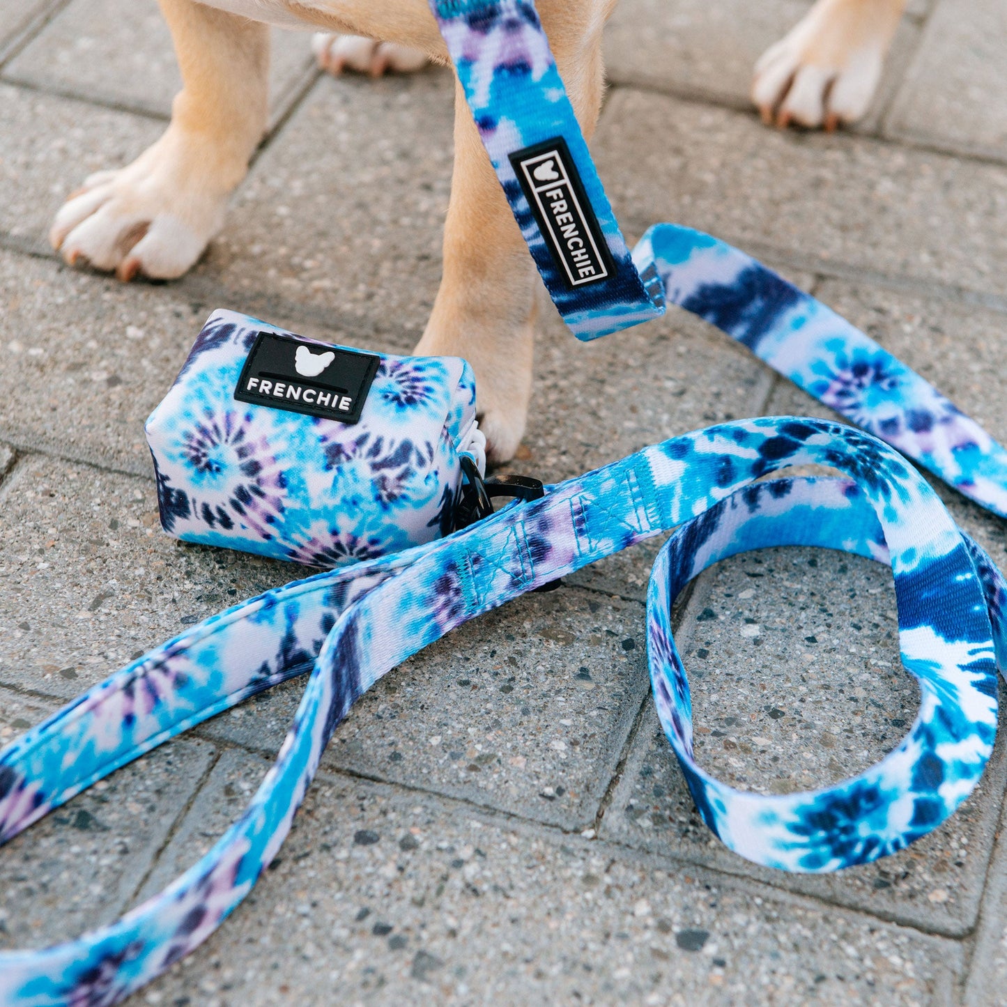Frenchie Comfort Leash - Trippy Tie Dye