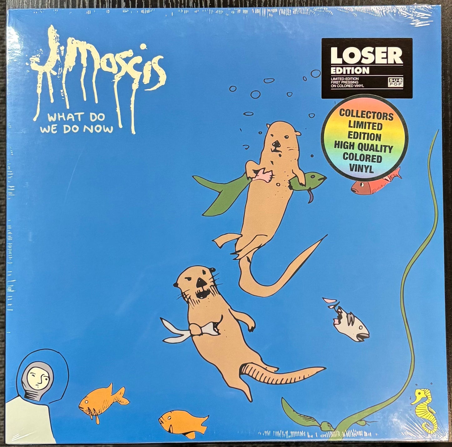 MASCIS, J - What Do We Do Now (Color Vinyl) LP Record