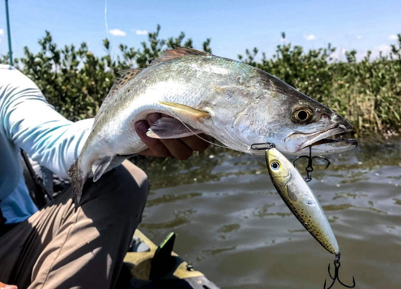 Topwater Co Speed Clips (15-45-70-120lbs)