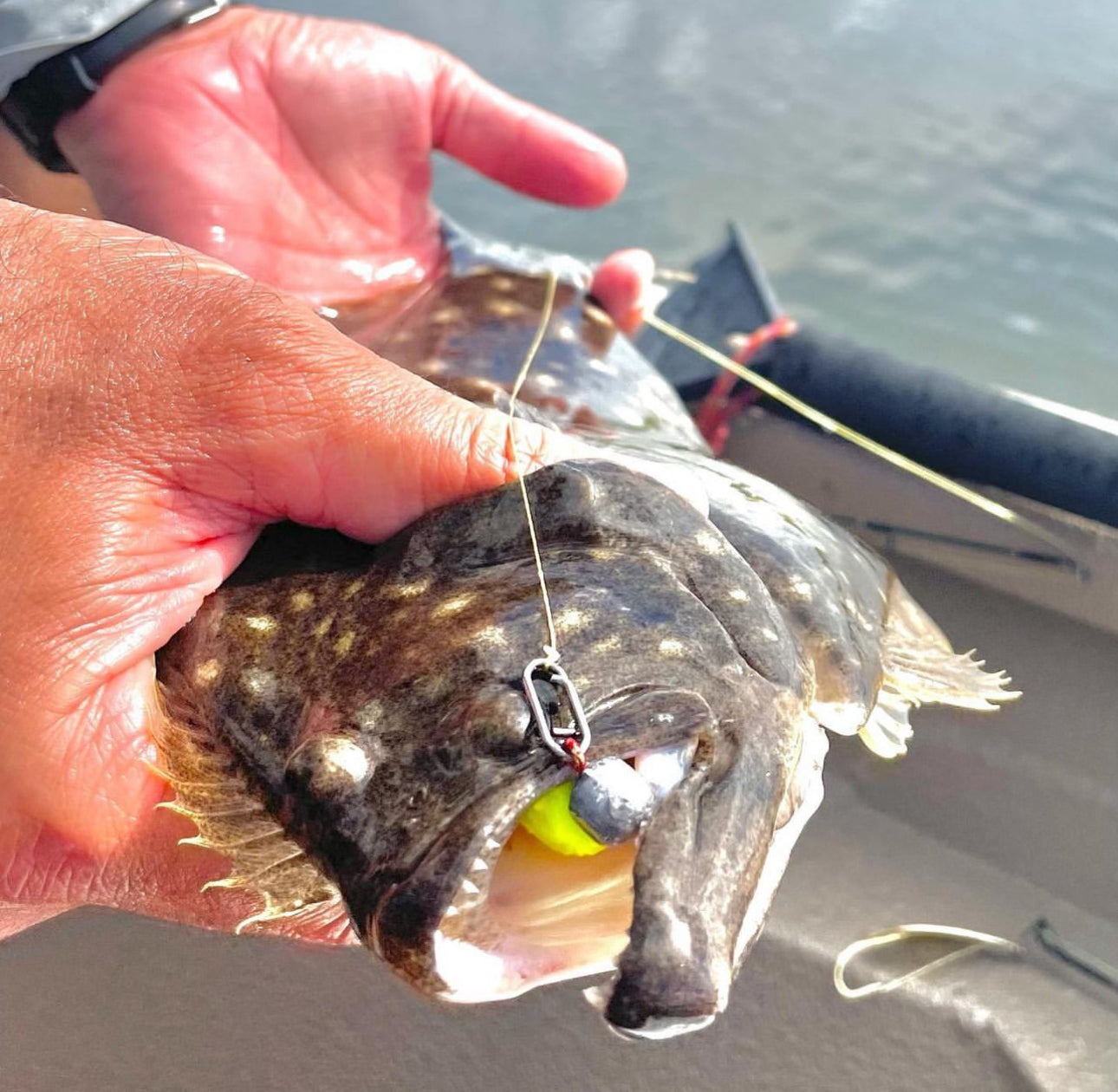 Topwater Co Speed Clips (15-45-70-120lbs)